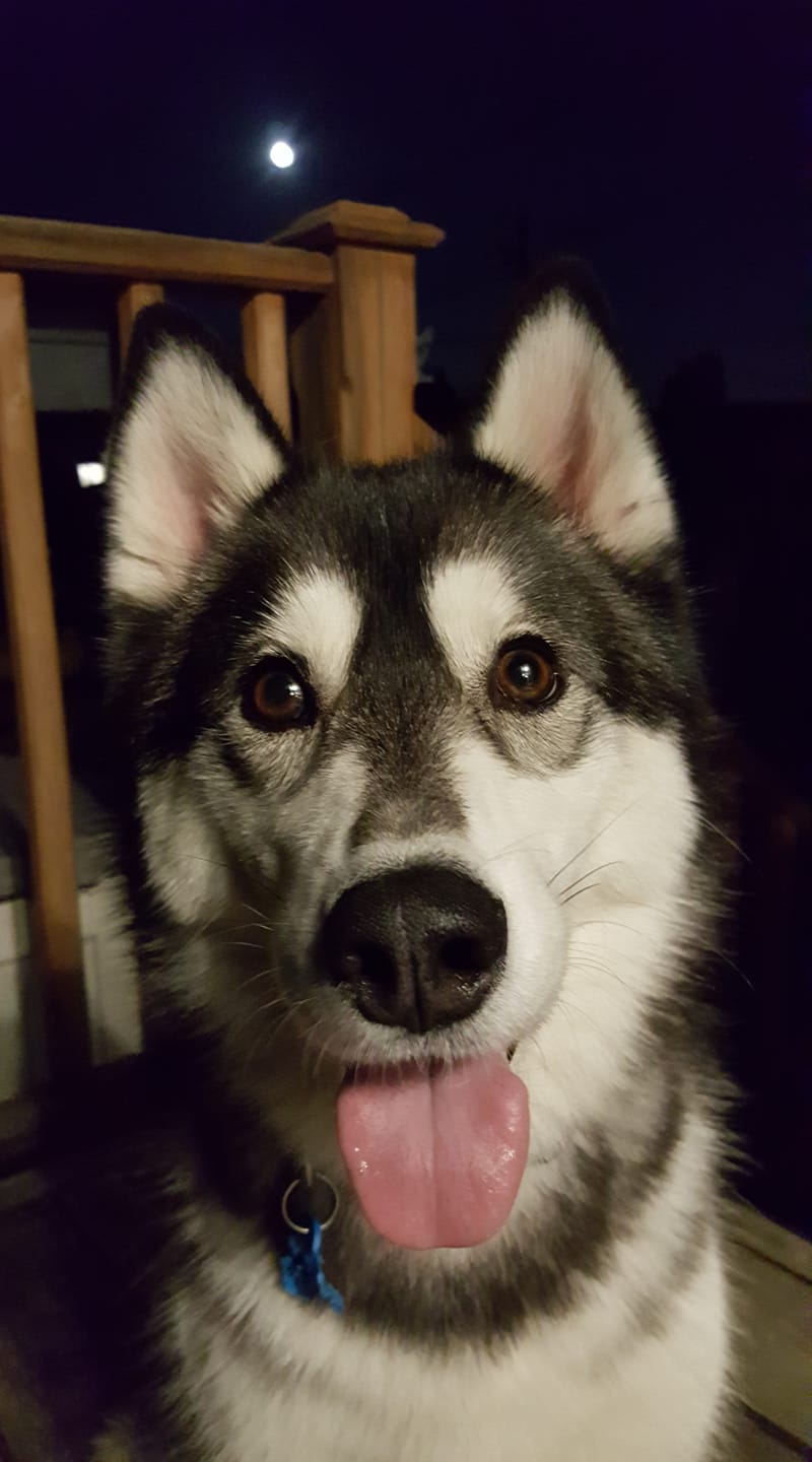 Lunasky